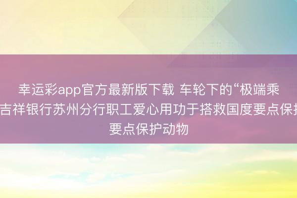 幸运彩app官方最新版下载 车轮下的“极端乘客”：吉祥银行苏州分行职工爱心用功于搭救国度要点保护动物
