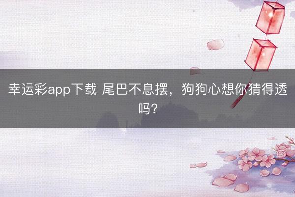幸运彩app下载 尾巴不息摆，狗狗心想你猜得透吗?